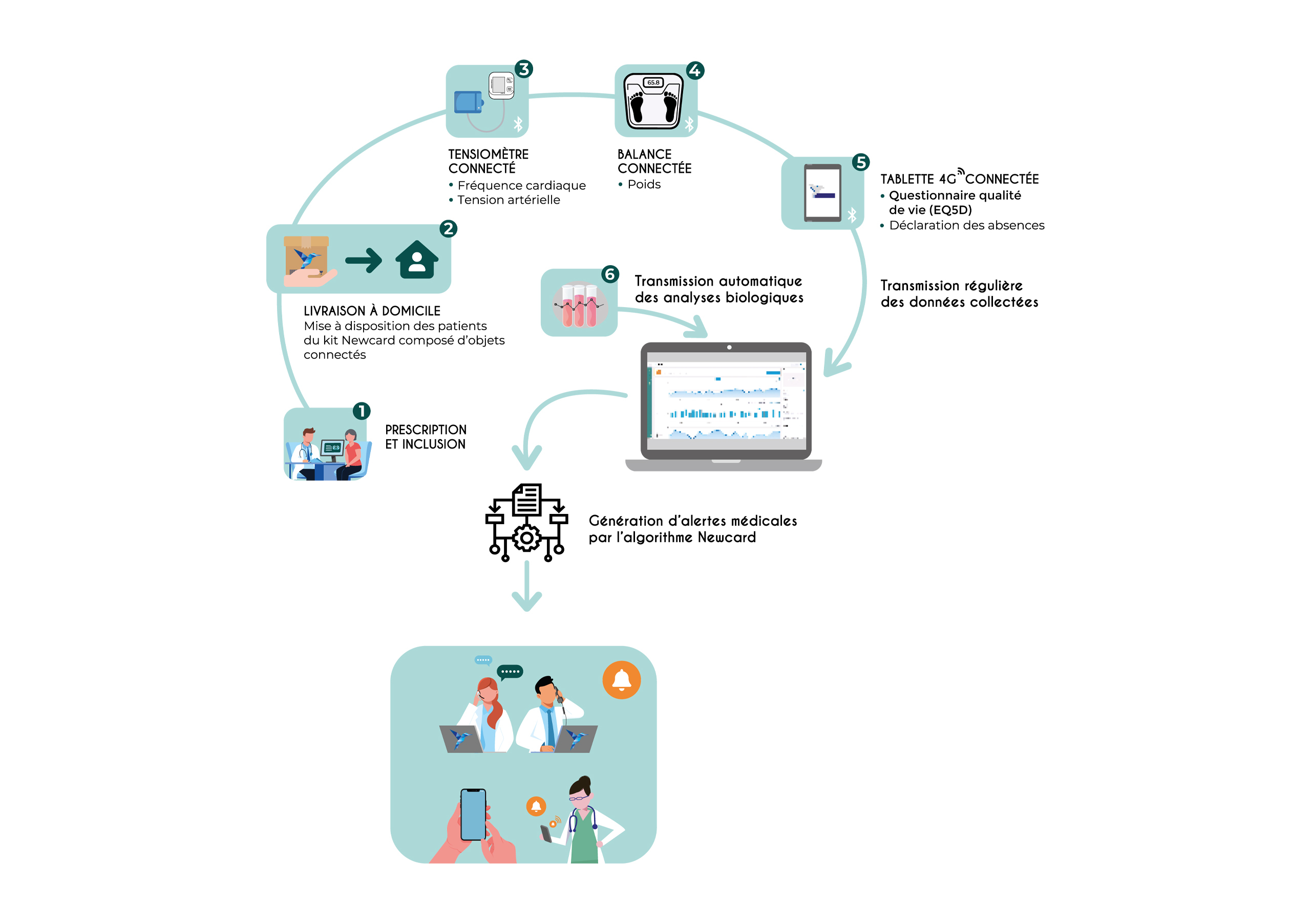 Schema Newcard Reins